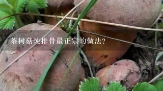 茶树菇炖排骨最正宗的做法？