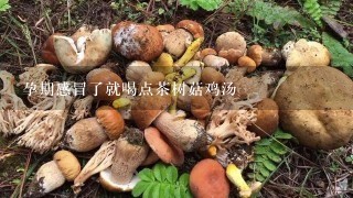 孕期感冒了就喝点茶树菇鸡汤