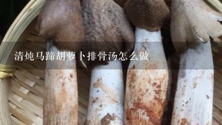 清炖马蹄胡萝卜排骨汤怎么做