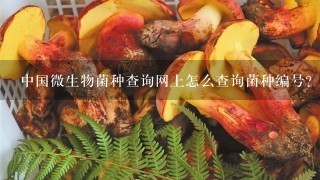 中国微生物菌种查询网上怎么查询菌种编号？怎么购买？