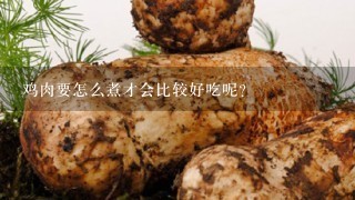 鸡肉要怎么煮才会比较好吃呢？