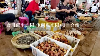 食用菌生态园(休闲观光园)项目介绍