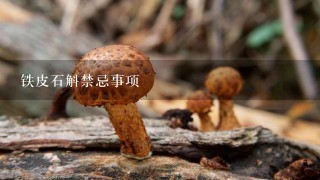 铁皮石斛禁忌事项