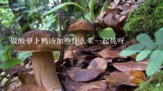 做酸萝卜鸭汤加些什么莱1起炖呀