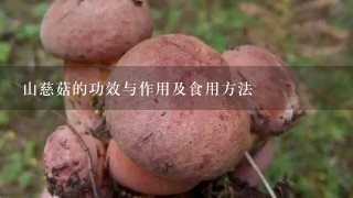 山慈菇的功效与作用及食用方法