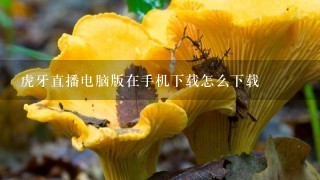 虎牙直播电脑版在手机下载怎么下载