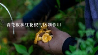 青花椒和红花椒的区别作用