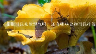 花椒可以祛除湿气吗？还有哪些食物可以排湿气？