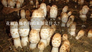 花椒直播名称的来源是什么？