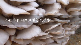 小红书官网网页版怎么搜索