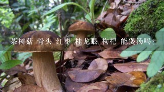 茶树菇 骨头 红枣 桂龙眼 枸杞 能煲汤吗?