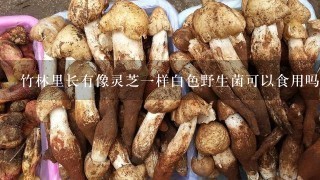 竹林里长有像灵芝1样白色野生菌可以食用吗