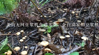 美的无网豆浆机食谱大全，全自动家用豆浆机哪款保温效果好