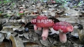 茶树菇猪脚汤可以放枸杞吗?