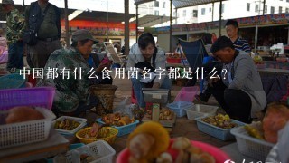 中国都有什么食用菌名字都是什么？