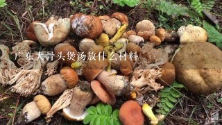 广东大骨头煲汤放什么材料