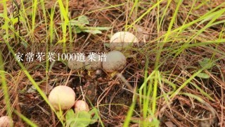 家常荤菜1000道菜谱