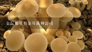 金坛那里有金耳菌种公司