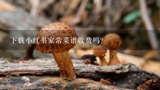 下载小红书家常菜谱收费吗？