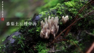 番茄土豆排骨汤