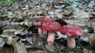 小熊电炖锅使用方法？