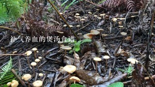 补气养血的煲汤食谱