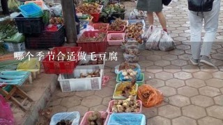 哪个季节合适做毛豆腐