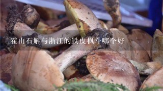 霍山石斛与浙江的铁皮枫斗哪个好