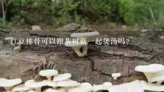 红豆排骨可以跟茶树菇1起煲汤吗？