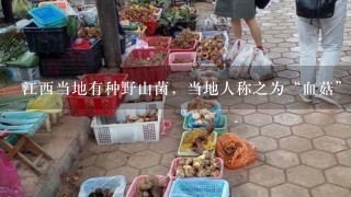 江西当地有种野山菌，当地人称之为“血菇”。不知为何物？它的正确学名是？