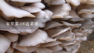 家常菜100道菜谱