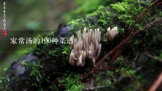 家常汤的100种菜谱