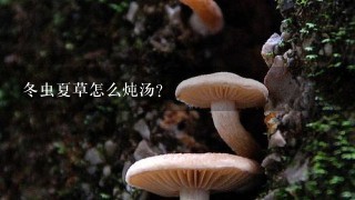 冬虫夏草怎么炖汤？