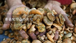 蘑菇配什么炒好吃