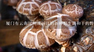 厦门有云南昆明或丽江的新鲜野生菌和干的野生菌专卖点吗?如有野生松茸专卖更好?