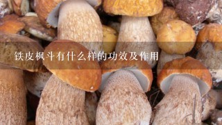 铁皮枫斗有什么样的功效及作用