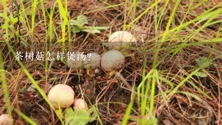 茶树菇怎样煲汤？