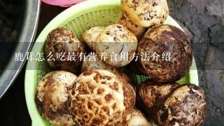 鹿茸怎么吃最有营养食用方法介绍