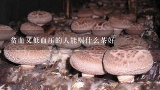 贫血又低血压的人能喝什么茶好