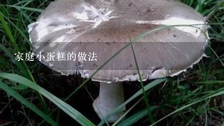 家庭小蛋糕的做法