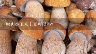 鸭肉炖玉米土豆可以吗？