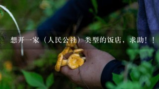 想开1家（人民公社）类型的饭店，求助！！！！