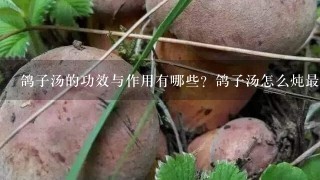 鸽子汤的功效与作用有哪些？鸽子汤怎么炖最营养些