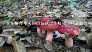 我在拼多多买的山慈菇二十块钱一斤是假的吗