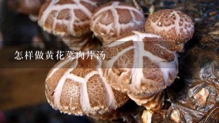 怎样做黄花菜肉片汤