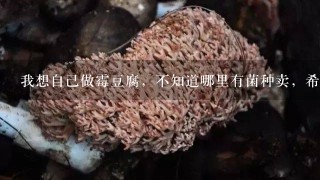 我想自己做霉豆腐，不知道哪里有菌种卖，希望哥哥姐姐给我1个满意的答案，谢谢大家