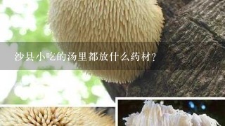 沙县小吃的汤里都放什么药材？