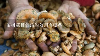 茶树菇排骨汤的效用有哪些