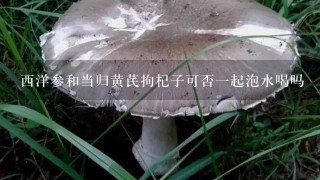 西洋参和当归黄芪拘杞子可否1起泡水喝吗