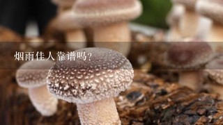 烟雨佳人靠谱吗？